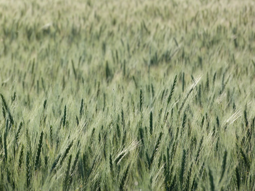 flowing