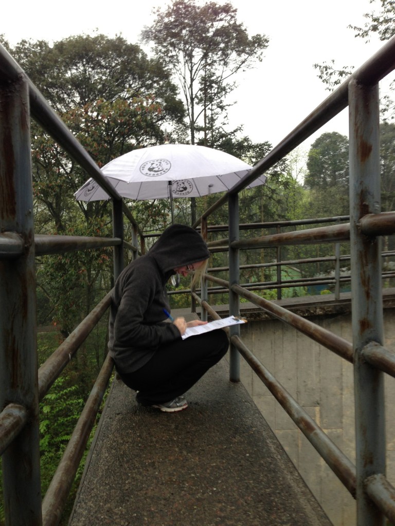 Our makeshift viewing hut.  Note: no smile here!