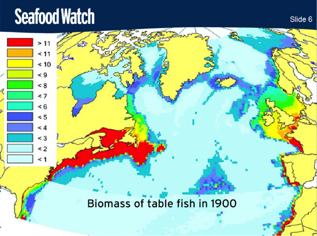 (c) Seafoodwatch.org