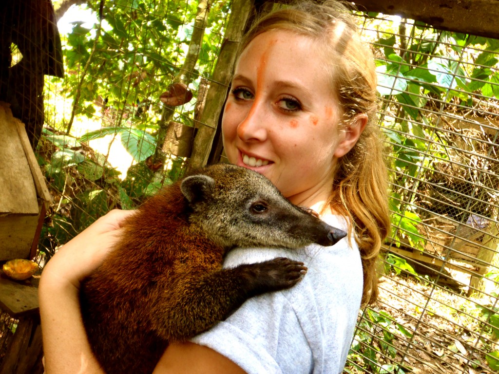 Ecuador at Sacha Yacu Animal Rescue Centre with Little Coati 