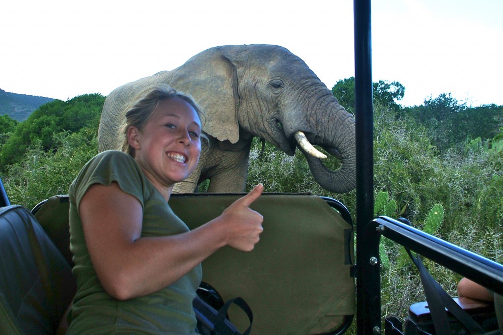 Shamwari Game Reserve with an African Elephant