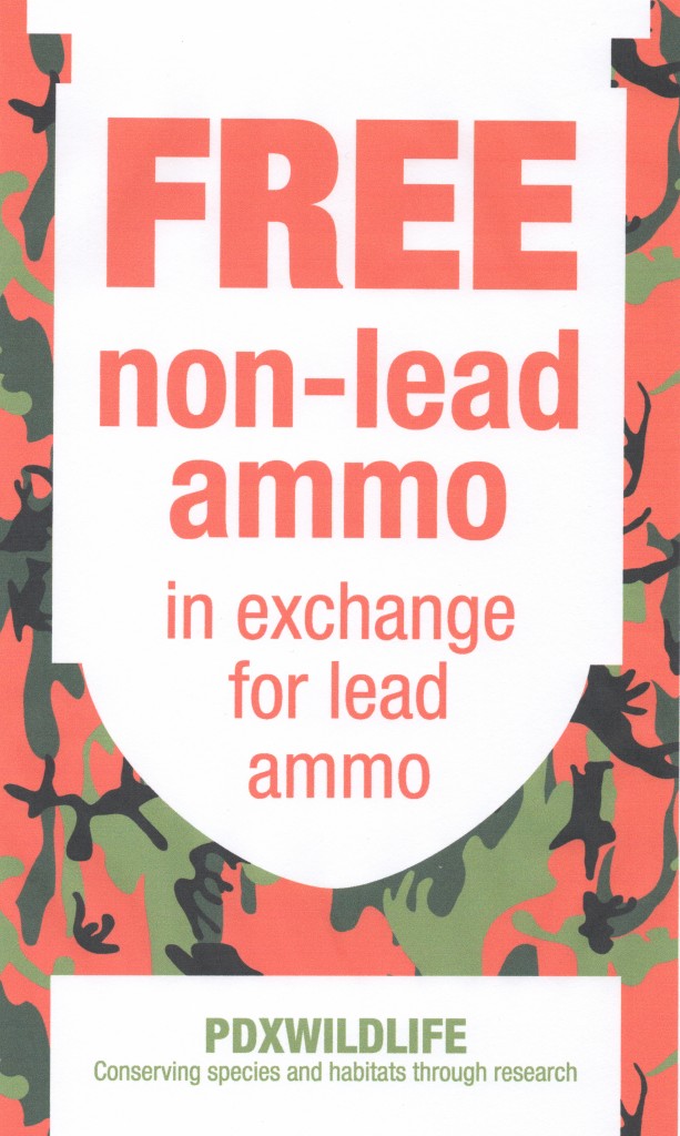 Lead Ammo Flyer