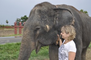 Sharon in Thailand with a retired elephant