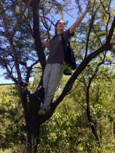 Reaching for seeds, Wits Rural Facility, South Africa