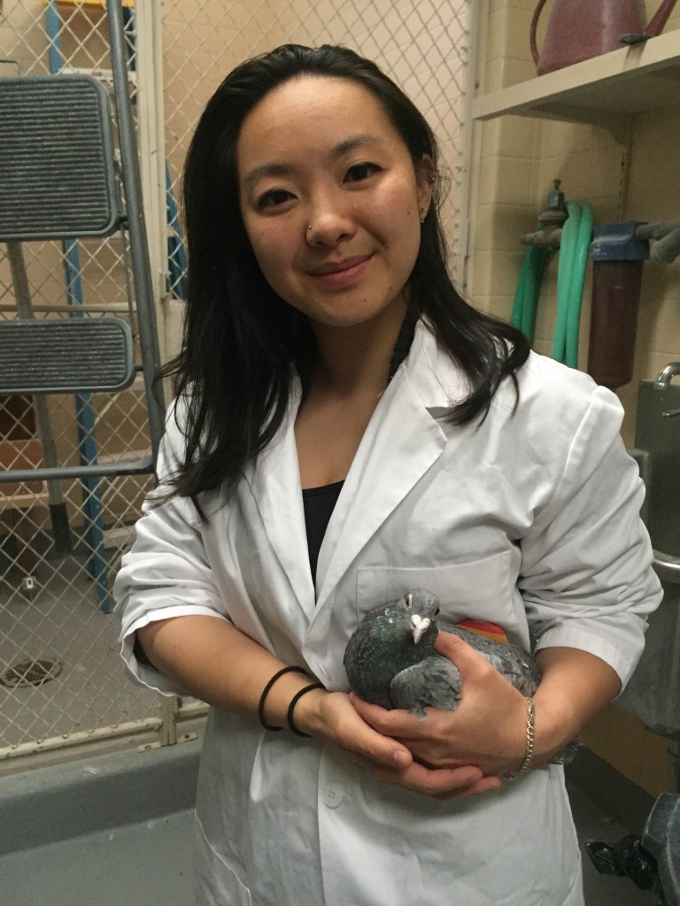 Jasmine with the star homing pigeon of the Reed Learning and Adaptive Behavior flight cage.