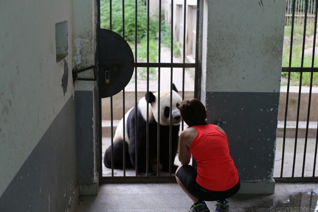 Her love, Love, LOVE of pandas. We couldn't have asked for a more committed intern.