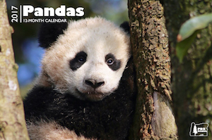 Panda Calendar 2017