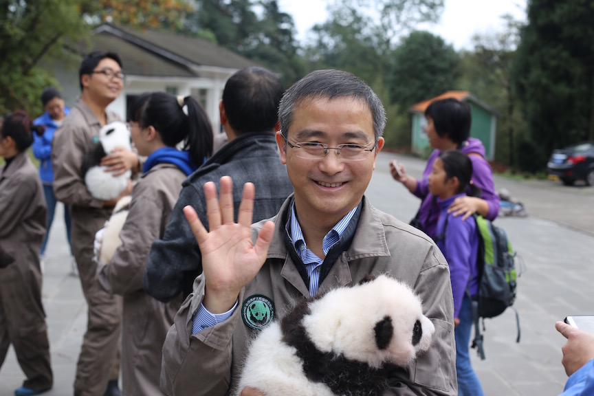 The Bifengxia Staff & Cubs